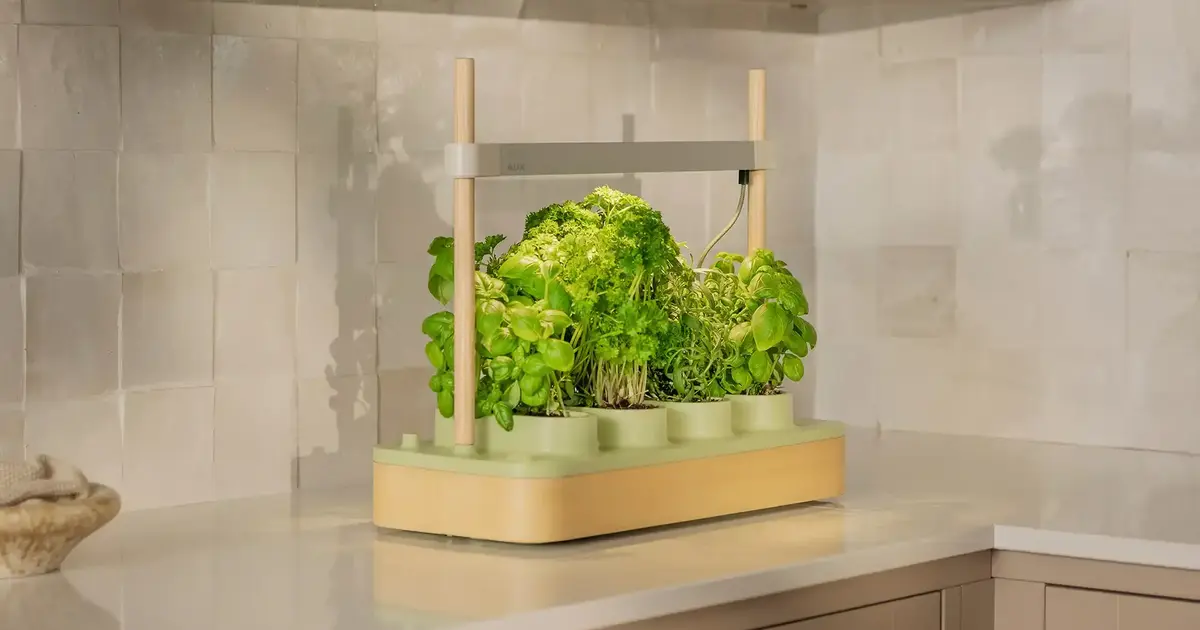 Don't Let Summer's End Stop Your Herb Garden