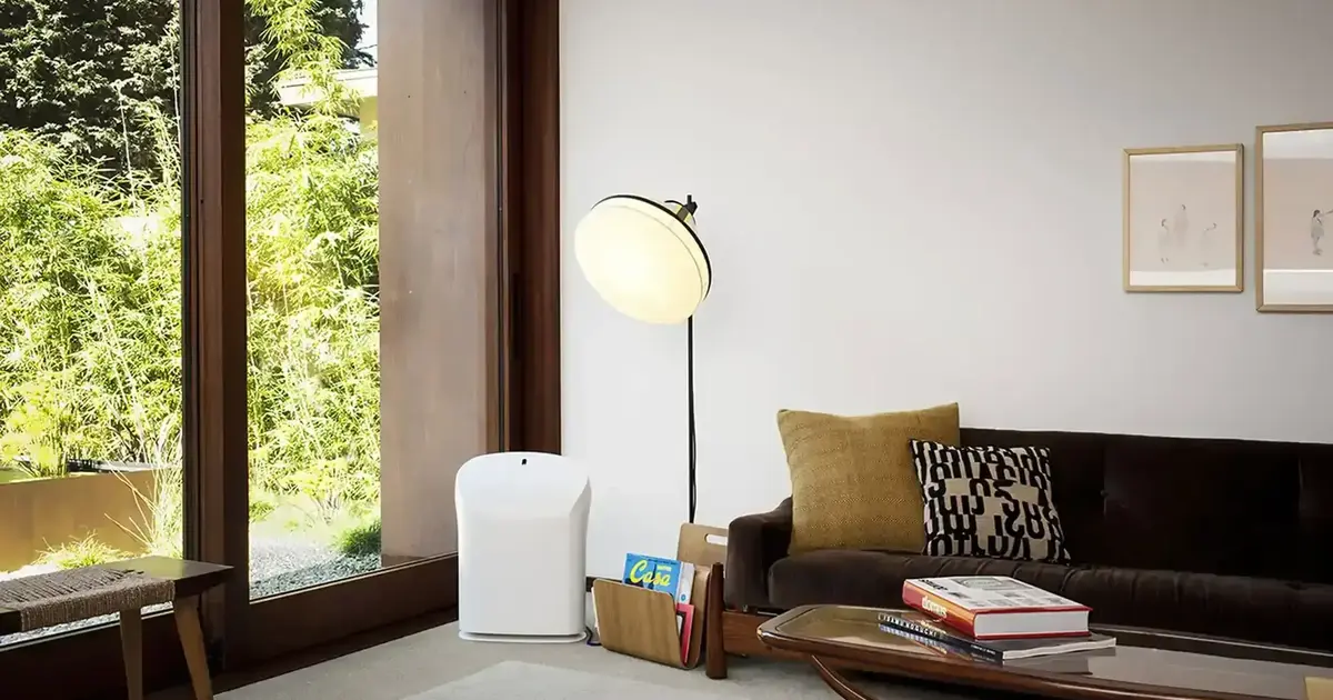 How to Maintain a Healthy Indoor Air Quality During the Spring and Summer