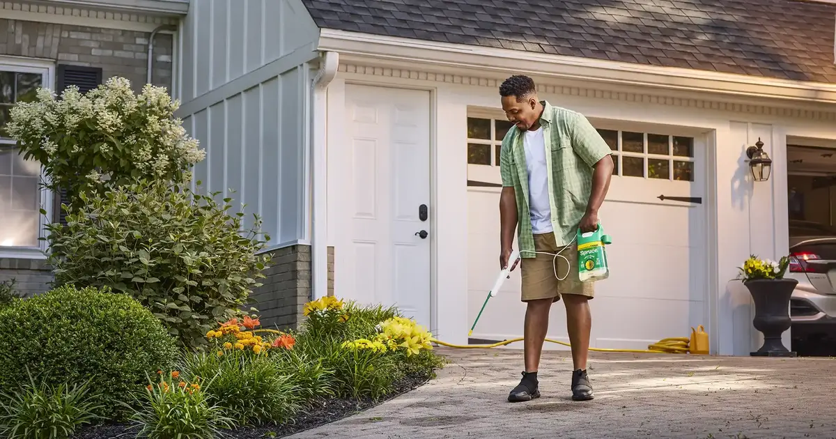 When to apply weed killer in the spring