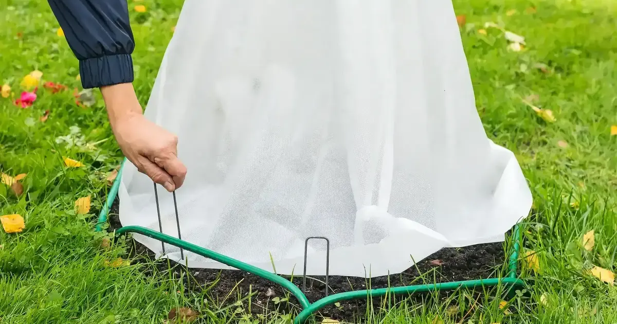 How to Protect Plants From Frost Damage