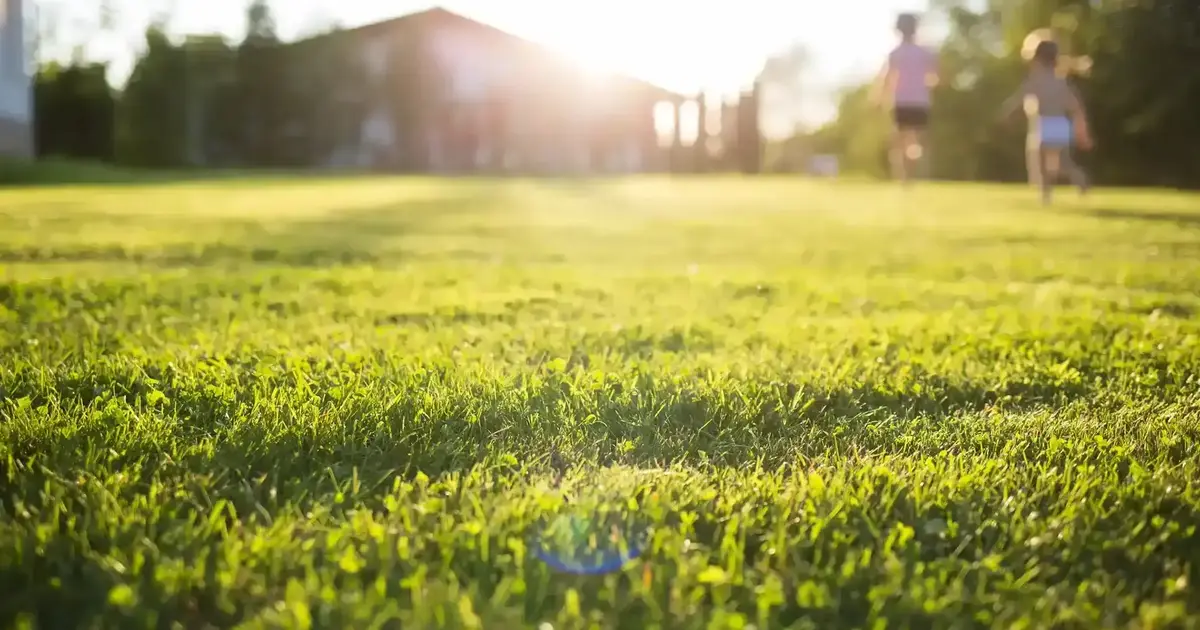 How to Fertilize Your Lawn in August