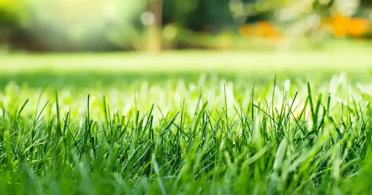 Planning For a New Sprinkler System? Remember These Tips - Outdoor Sprinkler System Installation For Weed Control