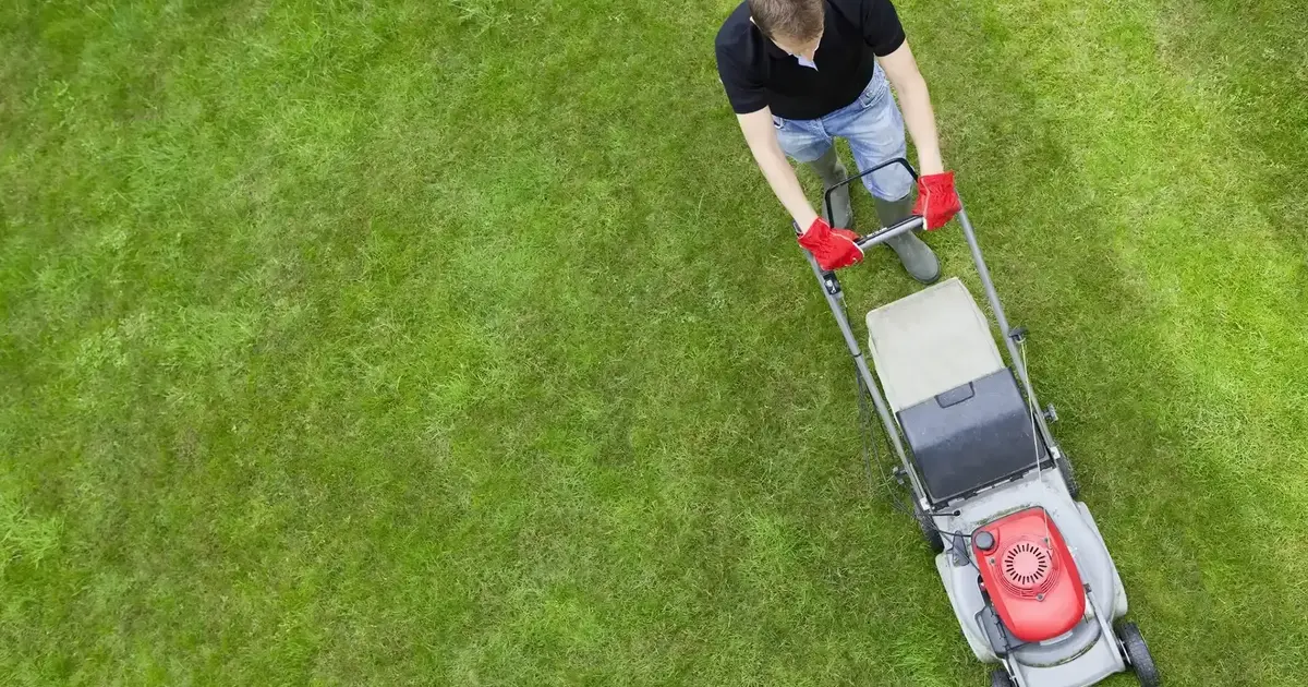 How to Keep Your Lawn Healthy During Summer Heat