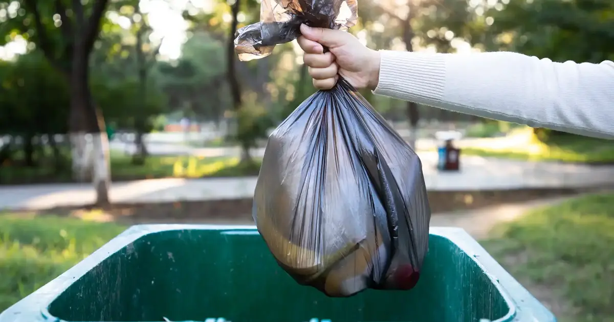How to Clean Your Trash Cans
