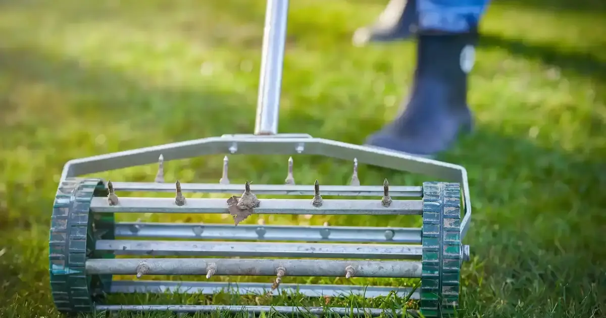 5 Things to Remember Before You Aerate Your Lawn