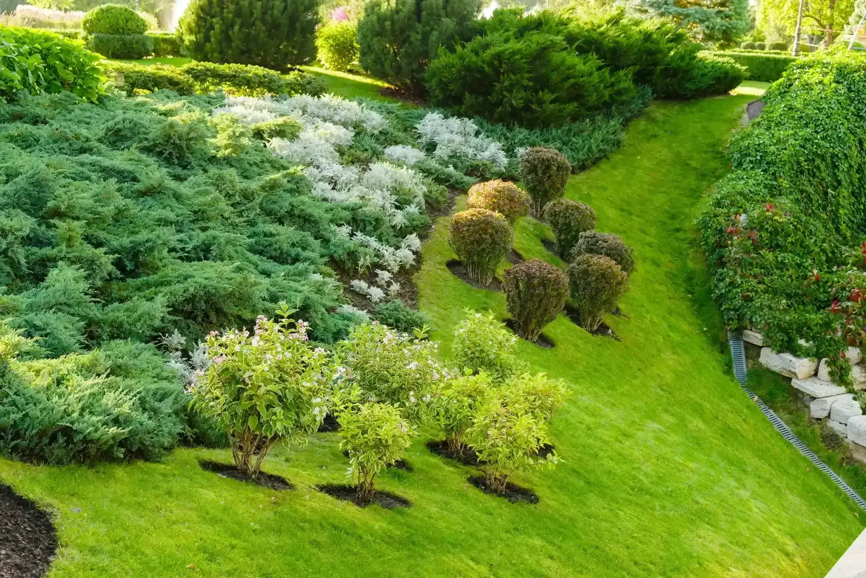 How to Stop Soil Erosion on a Slope, image size:1700x1135